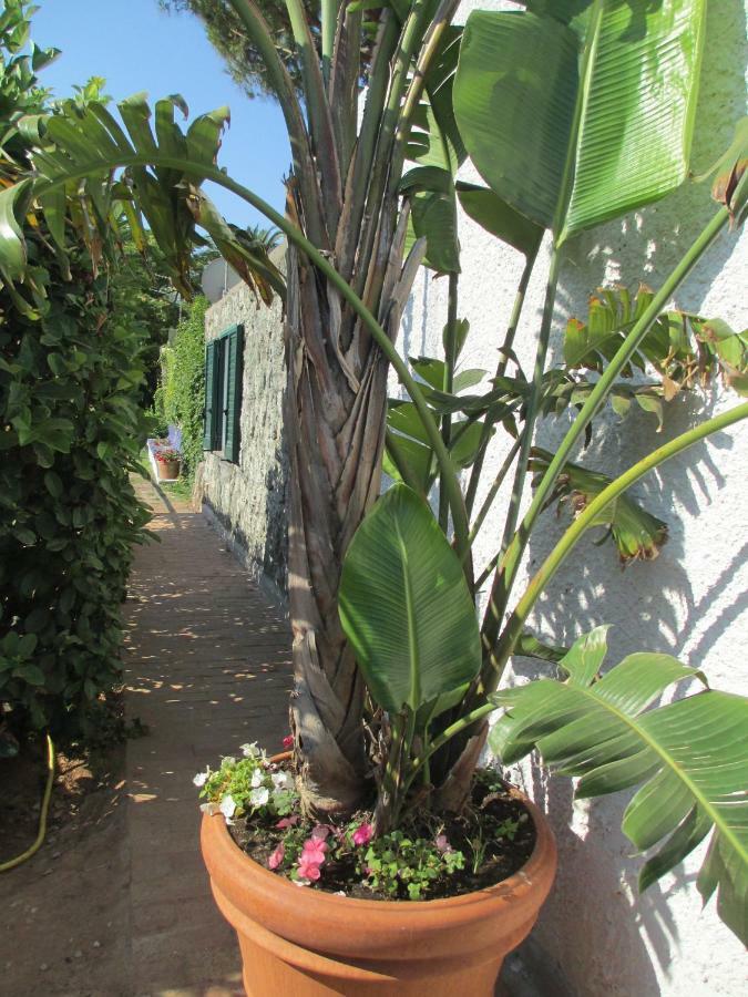 Appartamento Sporting Forio di Ischia Exterior foto